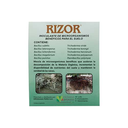 RIZOR