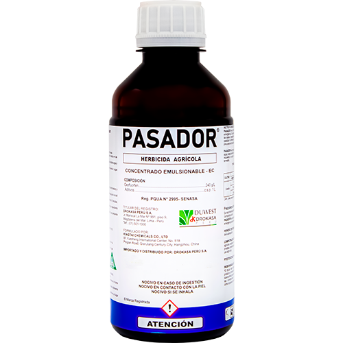 PASADOR