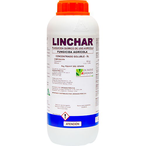 LINCHAR