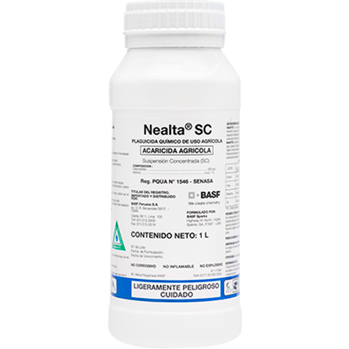 NEALTA SC