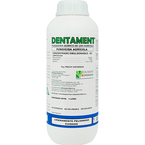 DENTAMENT