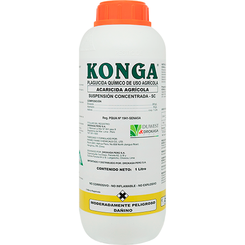 KONGA