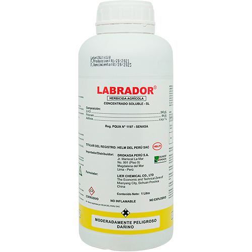 LABRADOR